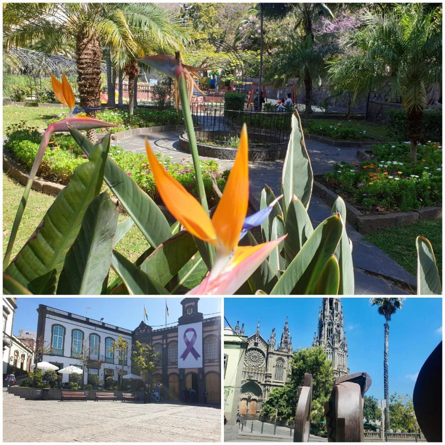 Casa Isabel Centro Historico Villa Arucas Luaran gambar