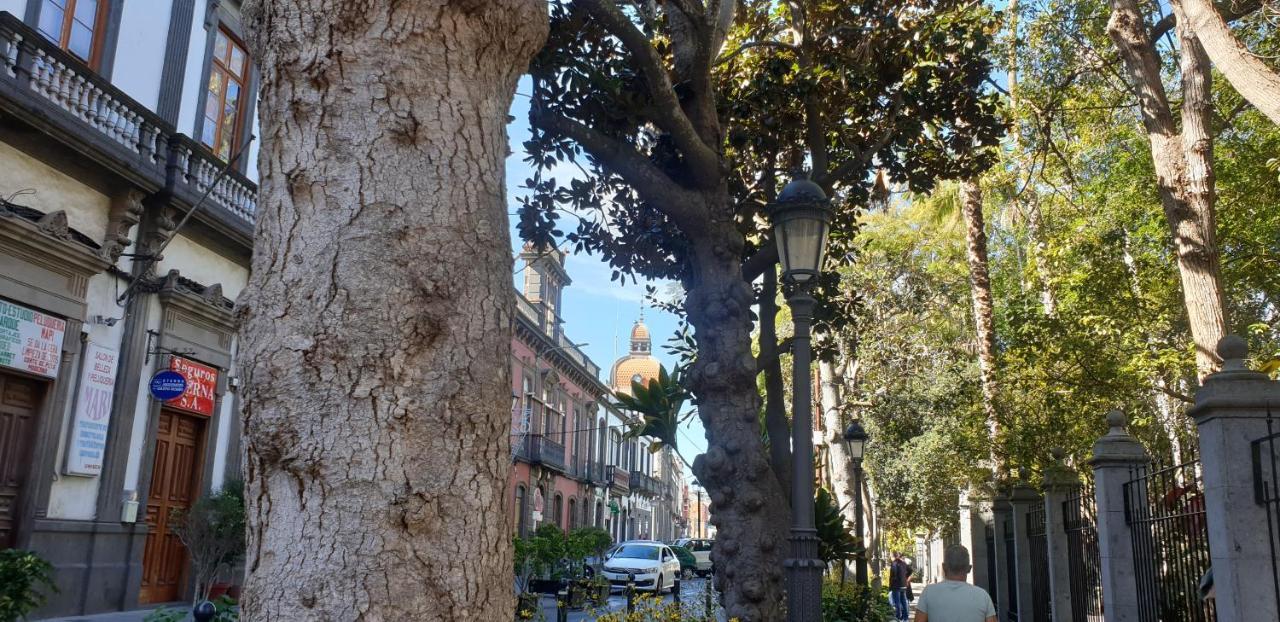 Casa Isabel Centro Historico Villa Arucas Luaran gambar